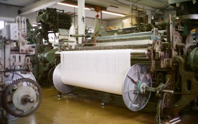 2025년, 지속 가능한 패션 브랜드: 지구를 위한 스타일리시한 선택 🌍