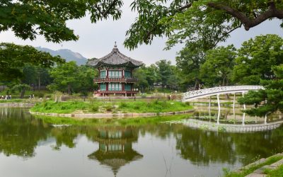 2025년, 대한민국 국민을 위한 최신 정부 지원 복지 혜택 및 정책 자금 총정리!