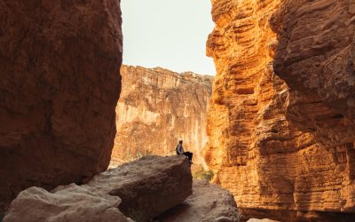 2025년 최신판: 혼자 여행하는 사람들을 위한 완벽 가이드 ✈️