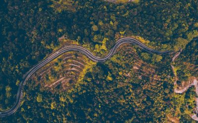 2025년 최신 가이드: 블로거를 위한 구글 SEO, 이제는 이렇게 하세요! 🚀