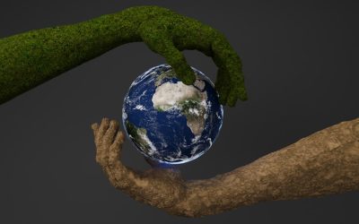 불필요한 소비를 줄이는 5단계 루틴: 2025년 현명한 소비자가 되는 길 💰