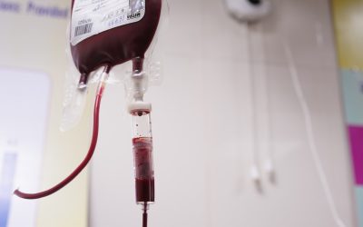 혈액형과 건강: 과학적 연관성과 최신 연구 동향 🧬