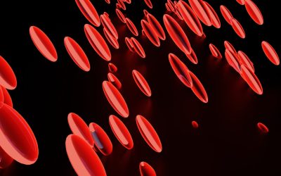 혈액형으로 알아보는 성격과 관계, 과연 진실일까요? 🧐