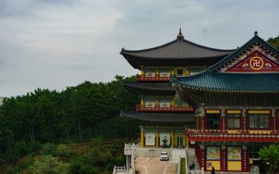 2025년 대한민국, 놓치지 말아야 할 최신 정부 지원 복지 혜택 및 정책 자금!