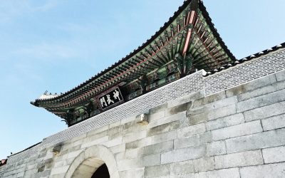 2025년 대한민국 정부 지원: 놓치지 말아야 할 최신 복지 혜택과 정책 자금!