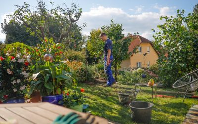 2025년 최신 트렌드 반영! 성공적인 단타 매매로 수익 극대화하는 비법