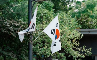 2025년 최신! 대한민국 정부 지원 복지 혜택 및 정책 자금, 놓치지 마세요!