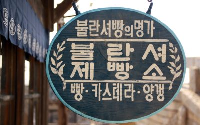 2025년 대한민국, 놓치지 말아야 할 최신 정부 지원 복지 혜택과 정책 자금!