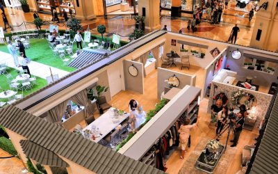 2025년 성공적인 인플루언서 되기: 최신 트렌드와 전략 🚀