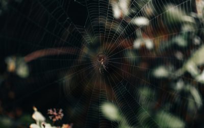 2025년, 구글 검색 상위 노출을 위한 블로그 SEO 완벽 가이드 🚀