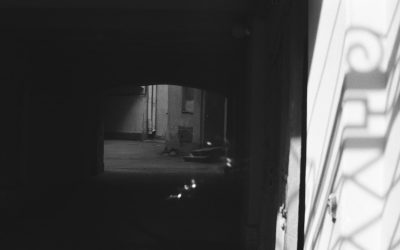 2025년, 블로그 성공의 핵심: 구글 SEO 최신 전략 완전 정복!