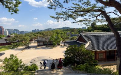 2025년 대한민국 정부 지원 복지 혜택 및 정책 자금, 놓치지 마세요! ✨