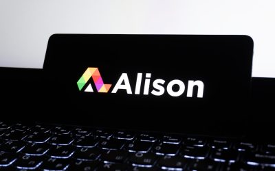 알트코인 불장과 약세장에서 살아남는 투자 전략: 2025년 최신 가이드 📈