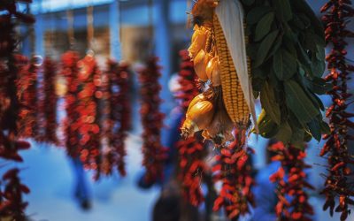 2025년, 미식과 함께 떠나는 세계 여행: 최신 트렌드와 꿀팁 대방출! ✈️🍽️