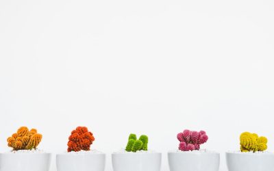 쿠팡 파트너스로 월 수익 만드는 실전 전략: 2025년 최신 가이드 🚀