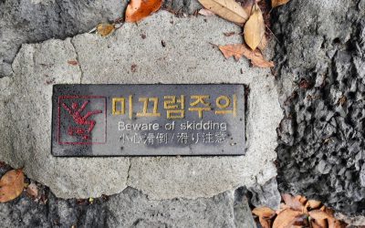 2025-2026 대한민국 정부 지원 복지 혜택 및 정책 자금, 최신 정보 총정리!