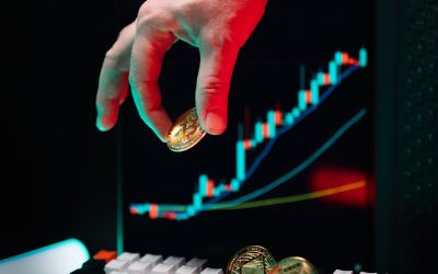 2025년 NFT 시장: 거품을 넘어 실질 가치와 수익 가능성을 찾아서