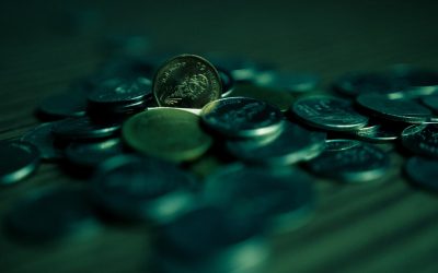 2025년 최신 분석: 네이버 블로그 vs 티스토리 vs 워드프레스, 당신의 수익은 어디에?