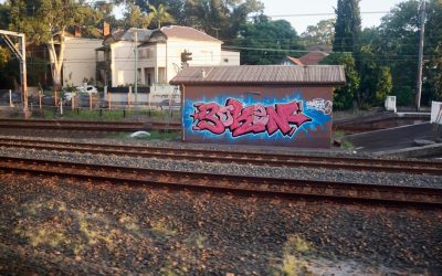 알트코인 불장과 약세장, 현명하게 살아남는 투자 전략 📈