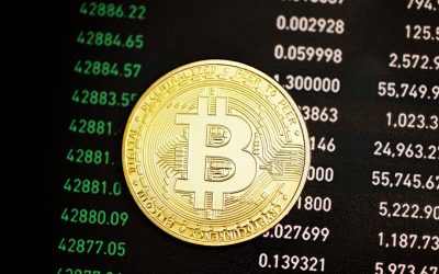 비트코인 반감기, 가격 변동의 비밀을 파헤치다: 2024년 이후 최신 분석!