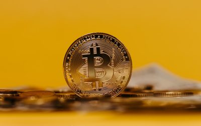 비트코인 반감기, 가격 변동 패턴 분석: 2026년 최신 전망까지!