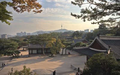 2026년 대한민국, 놓치지 말아야 할 최신 정부 지원 복지 혜택 및 정책 자금! 💰