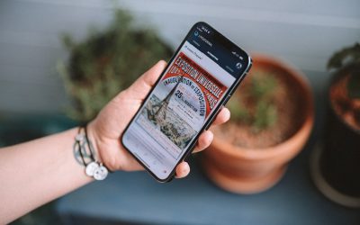 알트코인 불장과 약세장에서 살아남는 투자 전략: 2026년 최신 가이드 📈📉