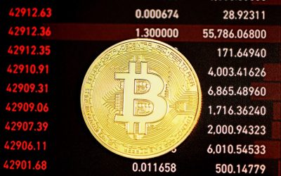 비트코인 반감기, 가격 변동 패턴 분석: 2026년 최신 트렌드와 투자 전략 📈