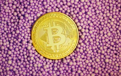 비트코인 반감기, 가격 변동 패턴 분석: 2026년 최신 트렌드와 전망 📈