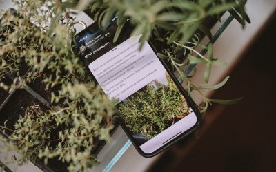 2026년, 성공적인 인플루언서 되기 위한 최신 전략: SIMPACT를 기억하라!