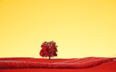 혈액형별 성격과 연애 궁합, 과학 vs. 문화 코드: 2026년 최신 트렌드 분석 🔍