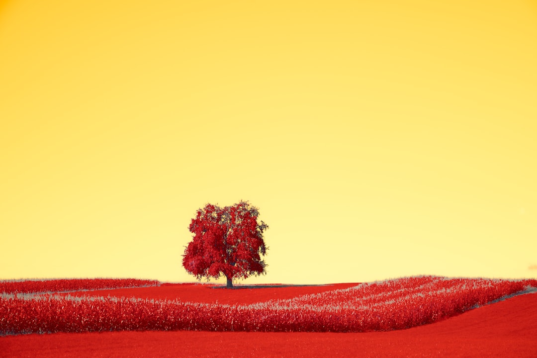 vs-2026-1769021404454