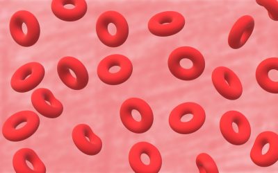 혈액형별 성격과 궁합: 과학을 넘어선 흥미로운 관계 탐구!