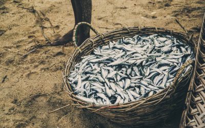 2026년, 미식과 경험으로 떠나는 세계 여행: 놓칠 수 없는 트렌드와 꿀팁!