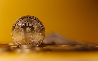 비트코인 반감기: 과거 패턴부터 2026년 최신 트렌드까지 심층 분석 📈