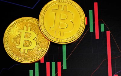 비트코인 반감기: 과거 패턴 분석부터 2026년 전망까지 🚀