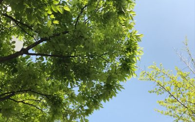 블로그 글 하나로 지속적인 패시브 인컴을 만드는 방법: 2026년 최신 전략 🚀