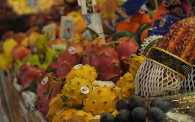 퇴근 후, 당신의 잠재력을 깨울 현실적인 부업 아이디어 (2026년 최신)