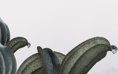 2026년, 별자리 궁합으로 알아보는 당신의 완벽한 인연 찾기 가이드 💖