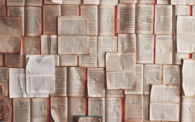 2026년, 지지 저항선을 활용한 FX 스캘핑: 변화하는 시장에서 수익 기회 포착하기!