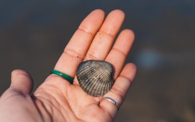 2026년, 나를 찾아 떠나는 혼자 해외 자유여행지 TOP 5 ✈️