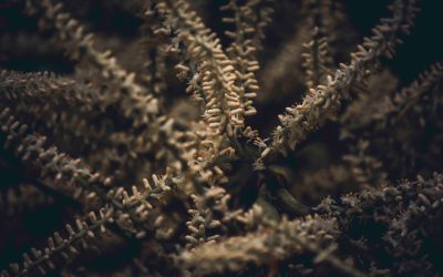 초단기 수익의 정점, 호가창 스캘핑 완벽 가이드: 2026년 최신 전략 분석