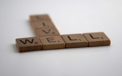 2026년 대한민국, 놓치지 말아야 할 최신 정부 지원 복지 혜택과 정책 자금!