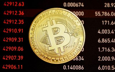 비트코인 반감기: 과거 패턴부터 2026년 최신 트렌드까지 심층 분석 📈