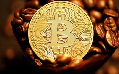 비트코인 반감기, 과연 가격 상승의 마법일까? 2026년 최신 분석 📈