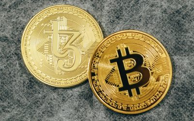 비트코인 반감기, 가격 변동 패턴 분석: 2026년 최신 전망까지!