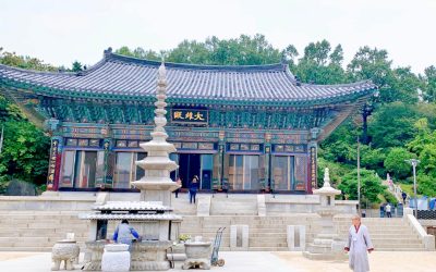 2026년 대한민국 정부 지원, 놓치지 마세요! 최신 복지 혜택 및 정책 자금 총정리 💰