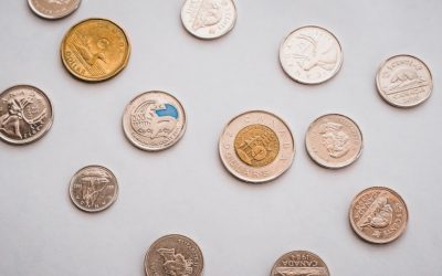 2026년 최신 분석: 네이버 블로그 vs 티스토리 vs 워드프레스, 당신의 수익은 어디에서 피어날까? 💰