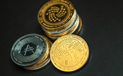 알트코인 불장과 약세장, 현명하게 살아남는 투자 전략 📈📉