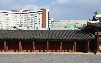 혈액형 문화와 과학적 이해: 궁합을 넘어선 혈액형의 진짜 의미 ✨